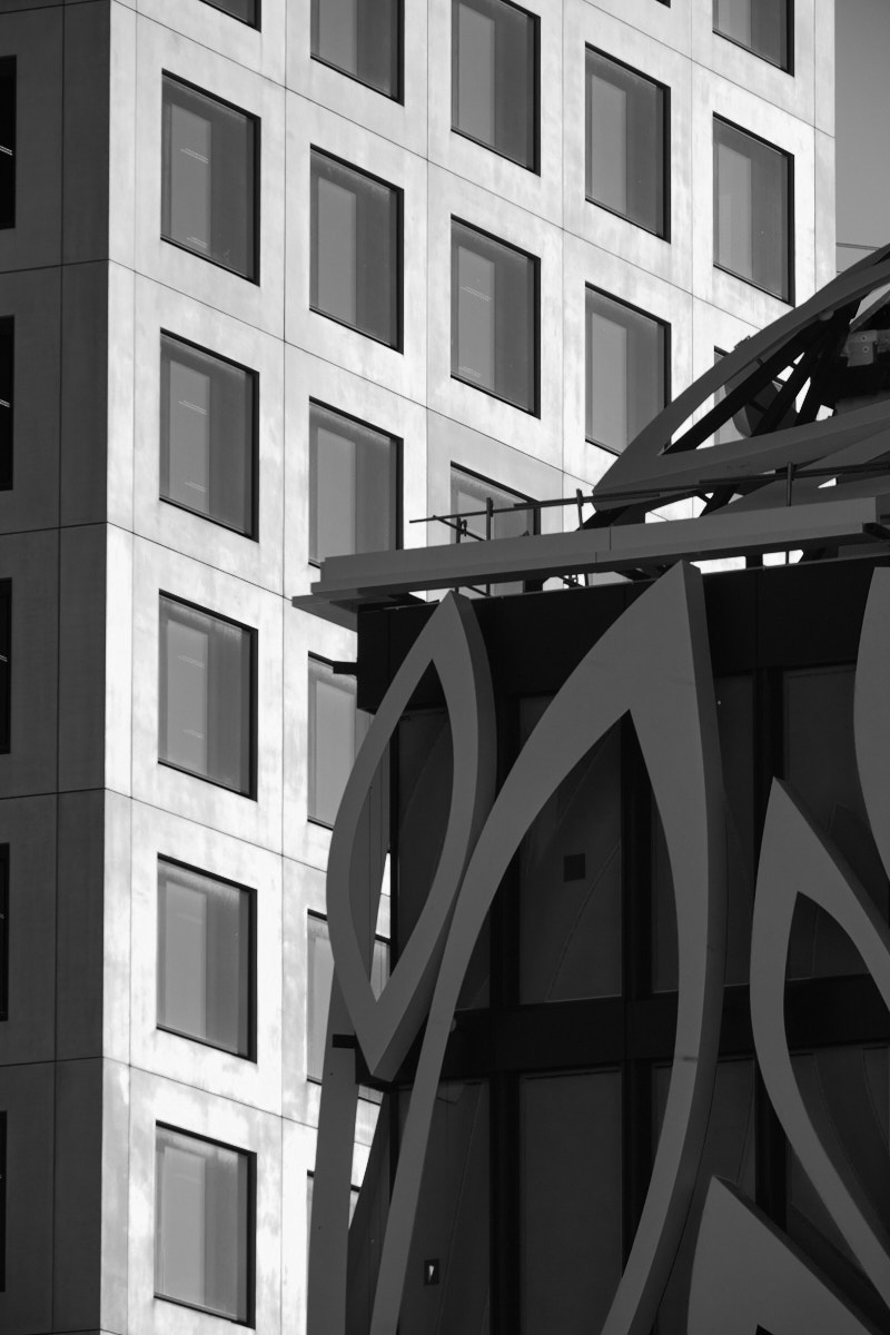 _XT30155_a.jpg