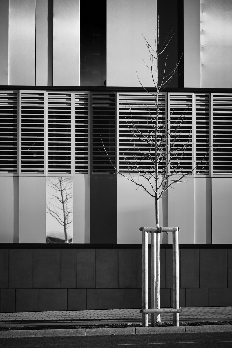 _XT30157_a.jpg