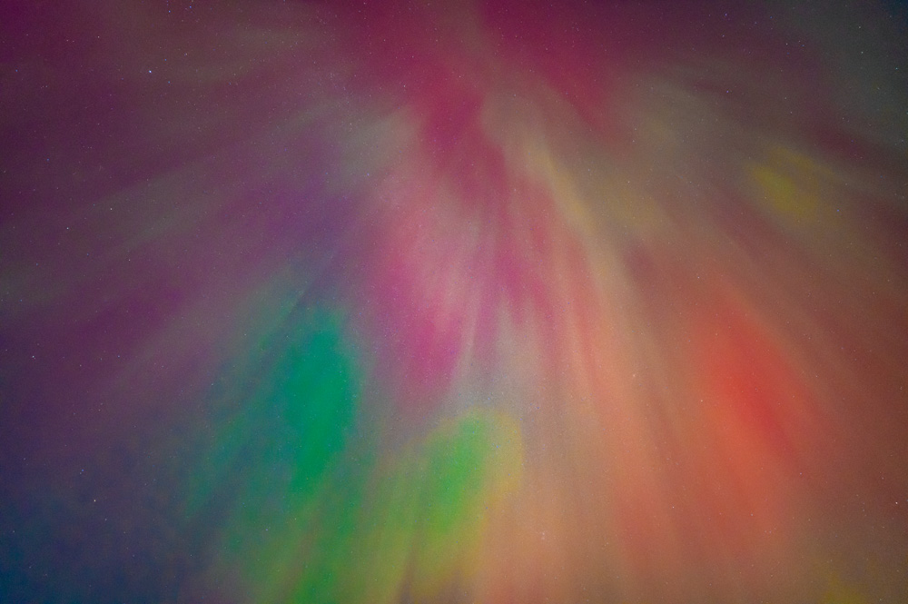 _Z629984_dw.jpg