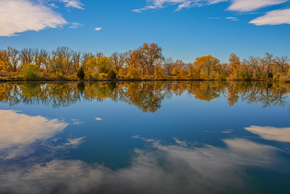 _Z631614_dw.jpg