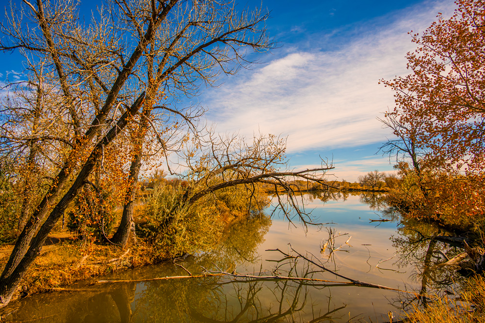 _Z631634_dw.jpg