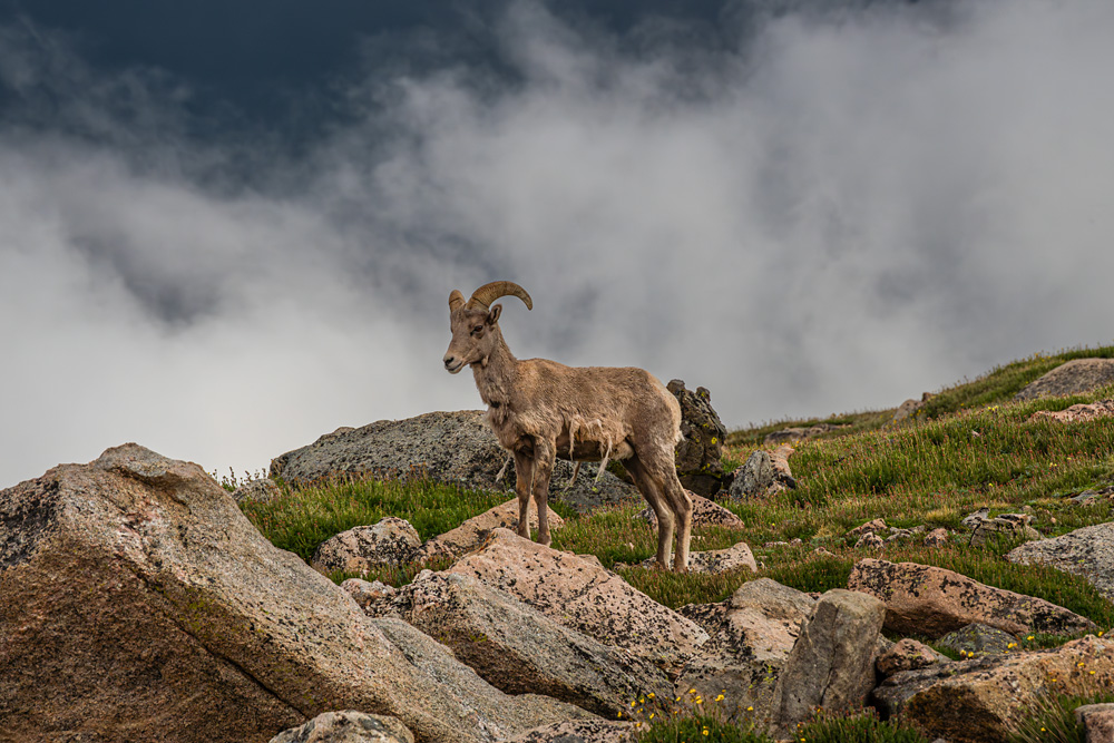 _Z632159_dw.jpg