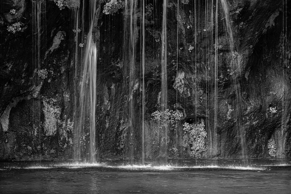 _Z633407_BW_dw.jpg