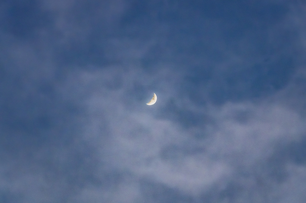 _Z635831_dw.jpg