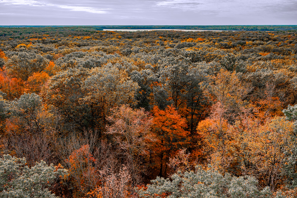 _Z639092_dw.jpg