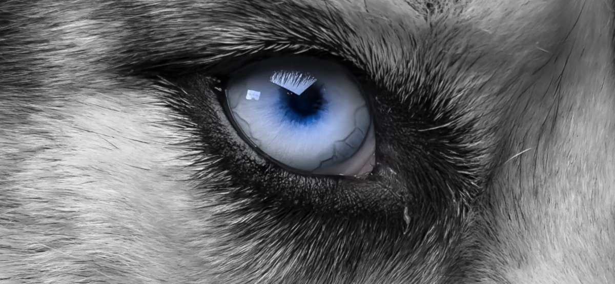 A753C993-E756-44D4-A415-DA08AC795FAB.png