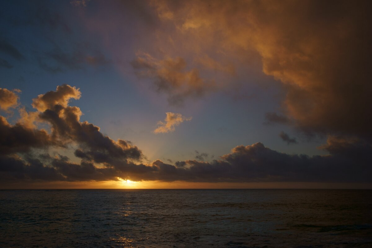 A7R_2998_151022w.jpg