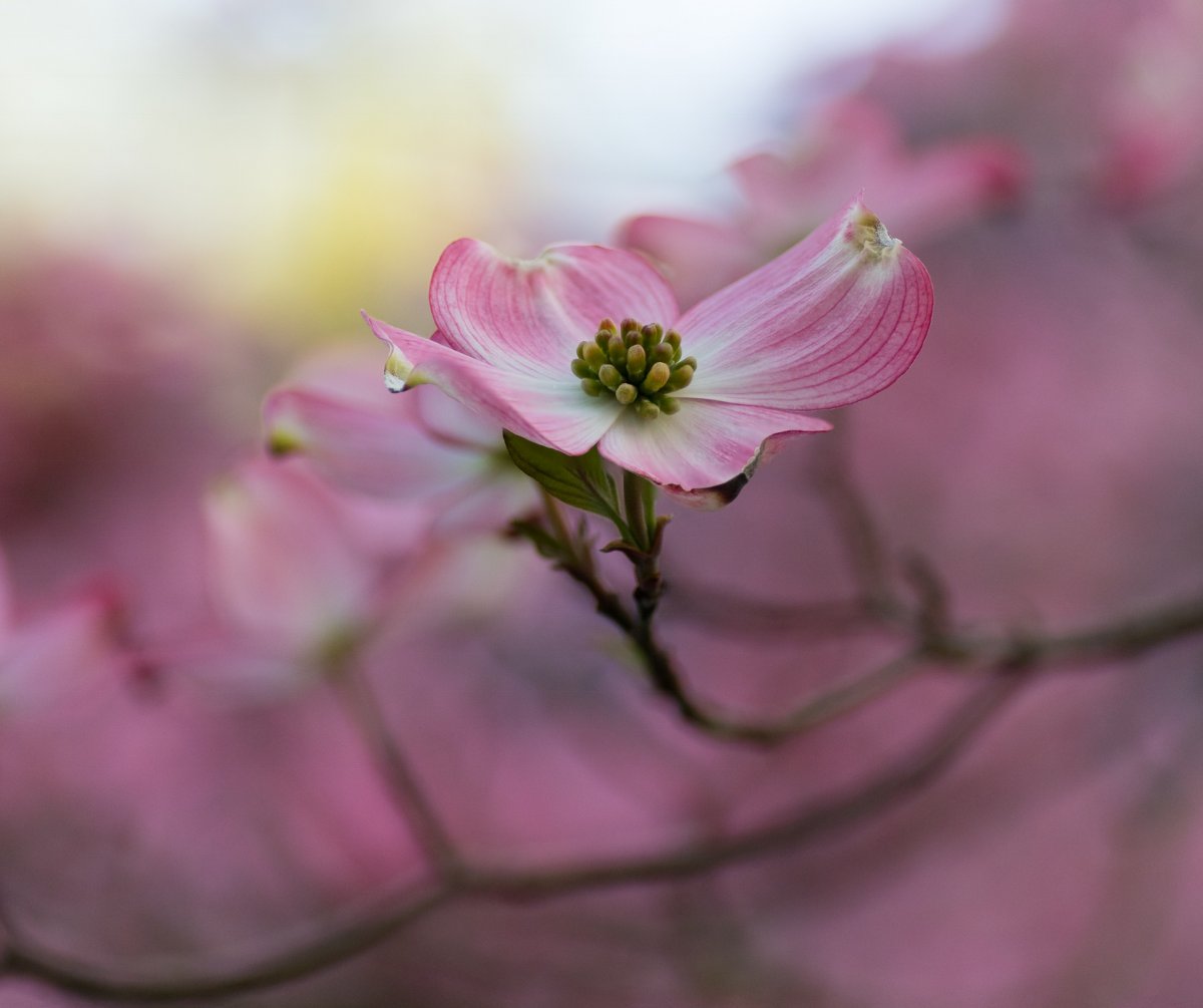 A9E8F7A2-300C-43C2-9696-E0F28DF46FD1.jpeg