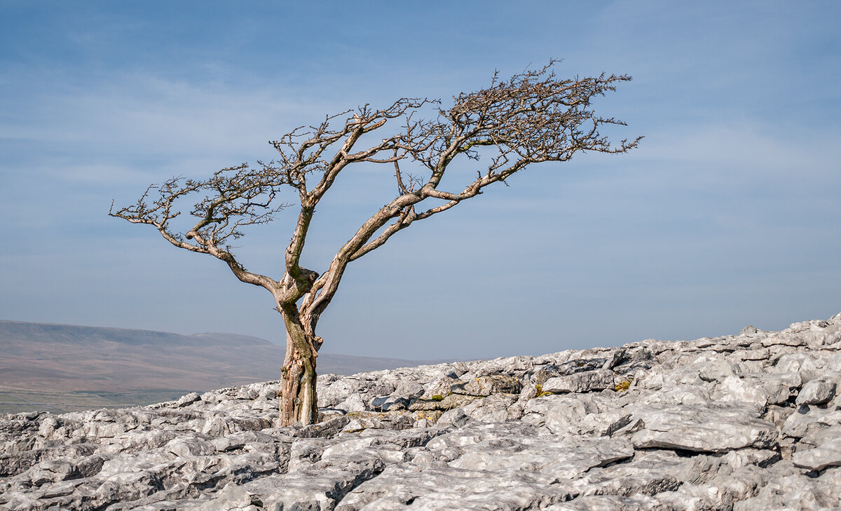 A_3297473-1.jpg
