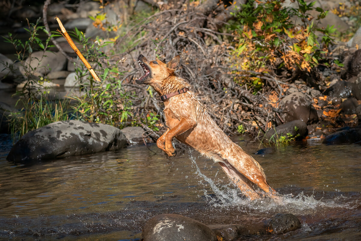 Addie-1418-Edit.jpg