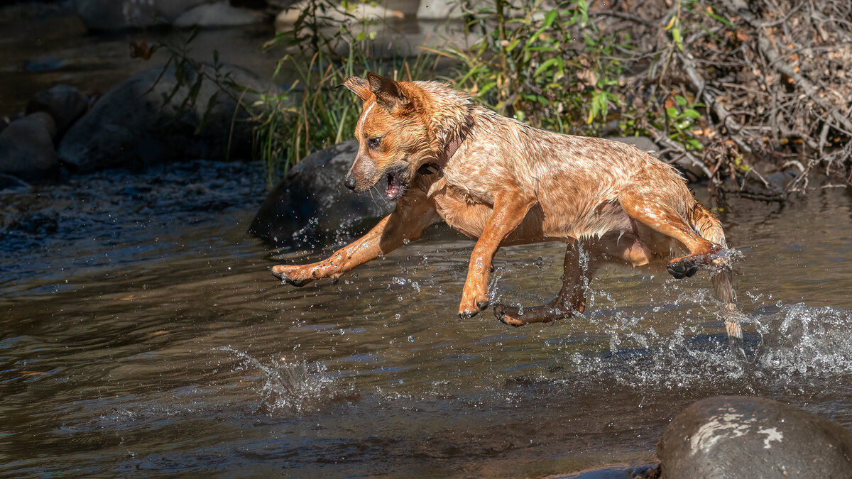 Addie-1423-Edit.jpg