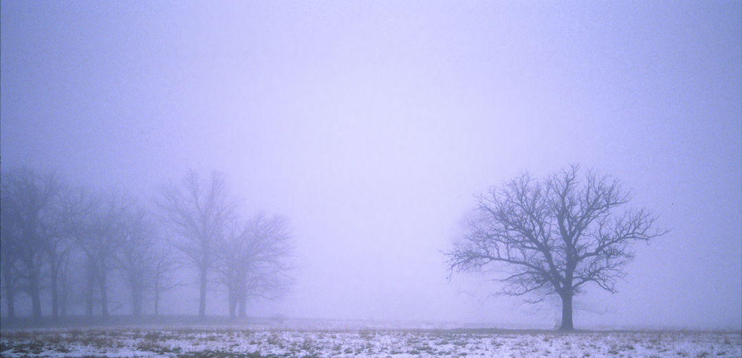 advection fog IL.jpg