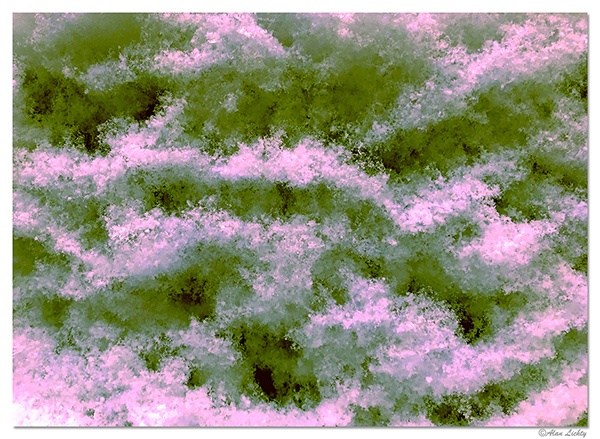 Alan_Abstract_600 Pix.jpg