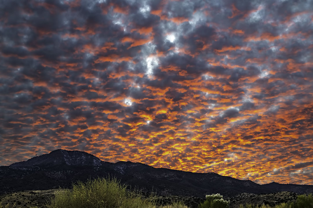 Altocumulus clouds over Mingus Mountain.jpg