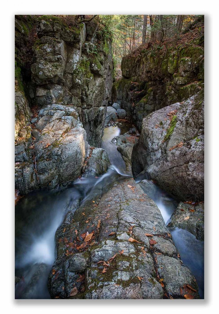 AMR ADK Dean 5D3 -378 Down the Flume Gill Brook AMR Display.jpg