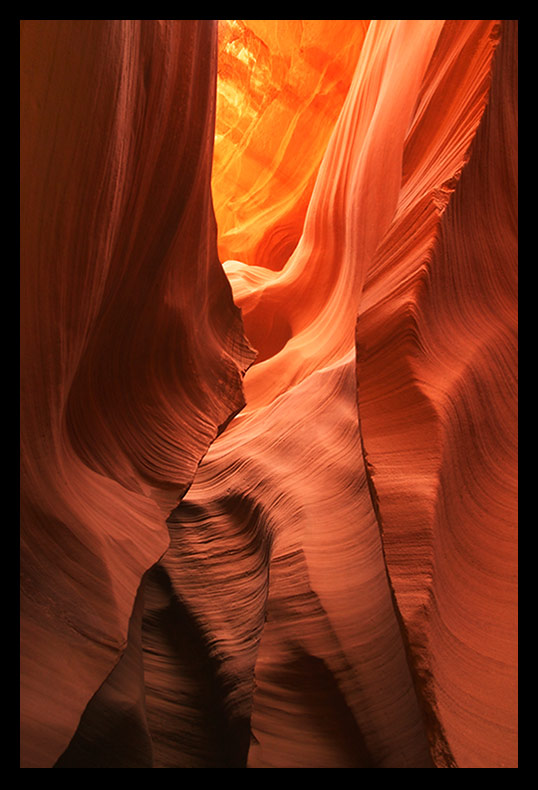 antelope5.jpg