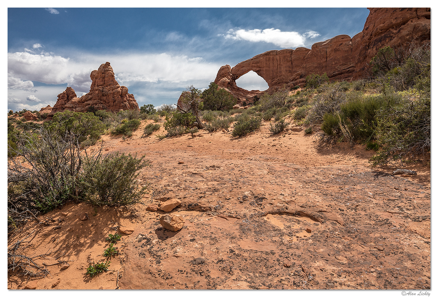 Arches1.jpg