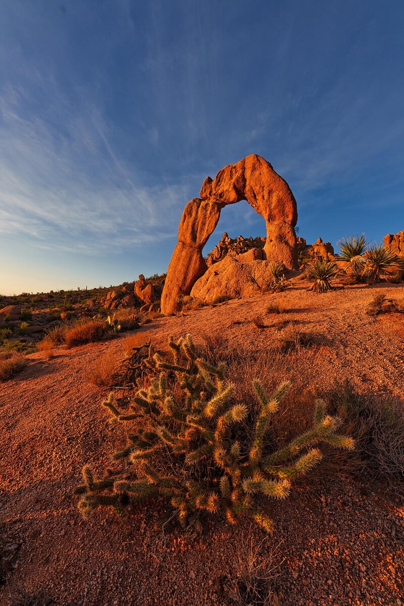 Arizona Delicate Arch.jpg