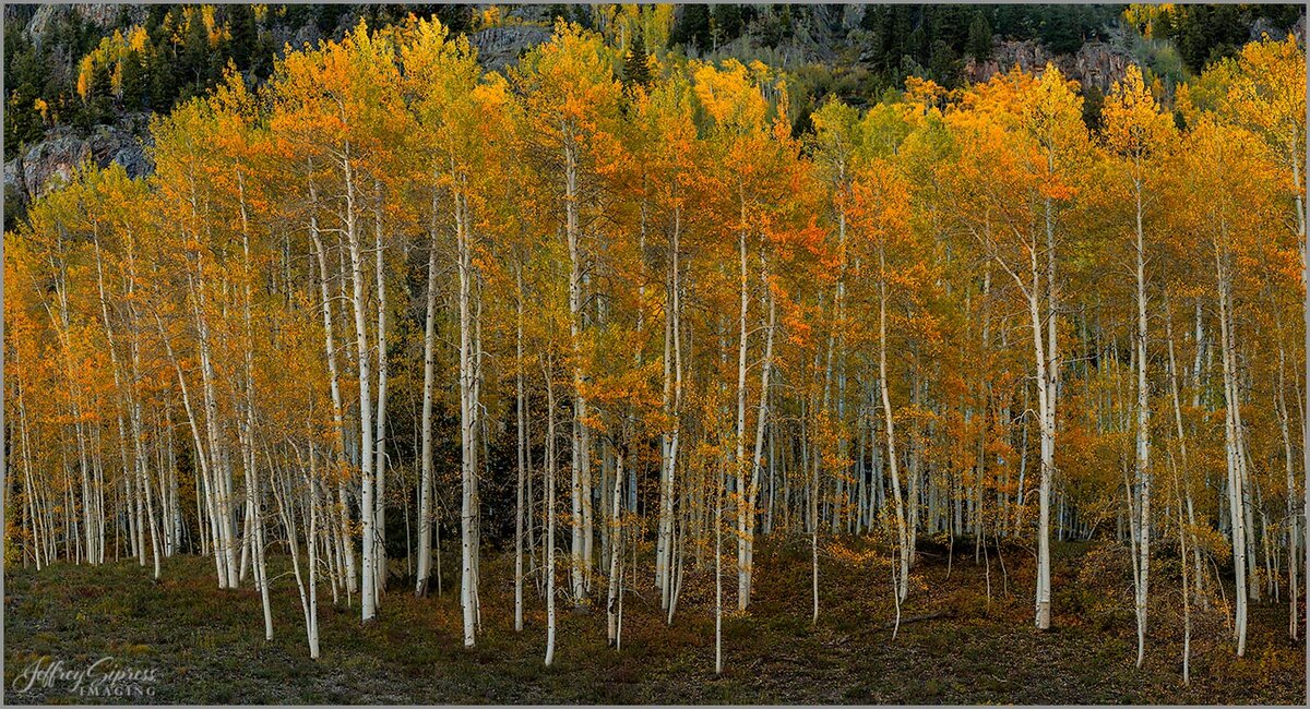 aspenpano2.jpg