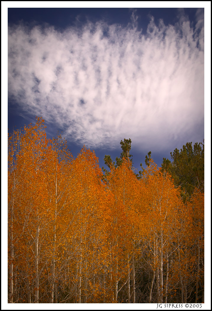 aspensky1.jpg