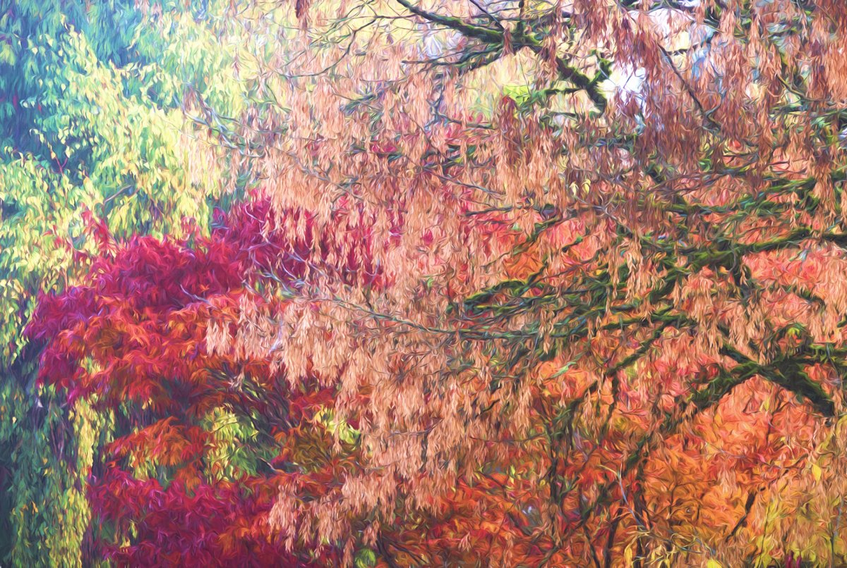 Autumn_Impressions.jpg
