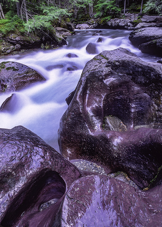 Avalanche Creek, Glacier National Park, MT.jpg