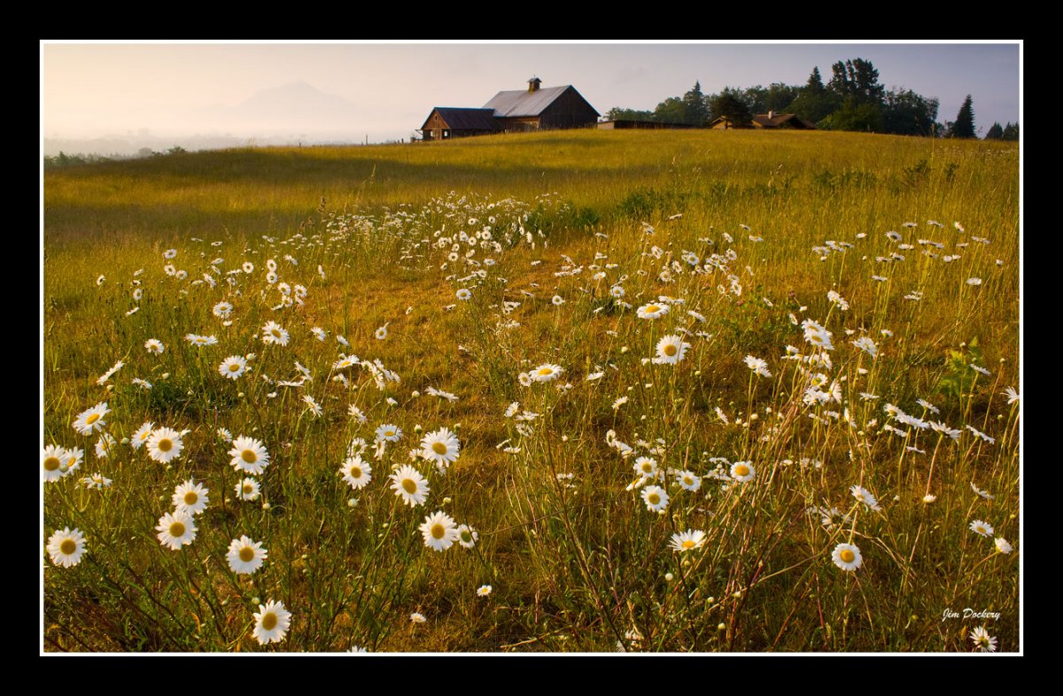 B.R.-Barn-6.13b.jpg