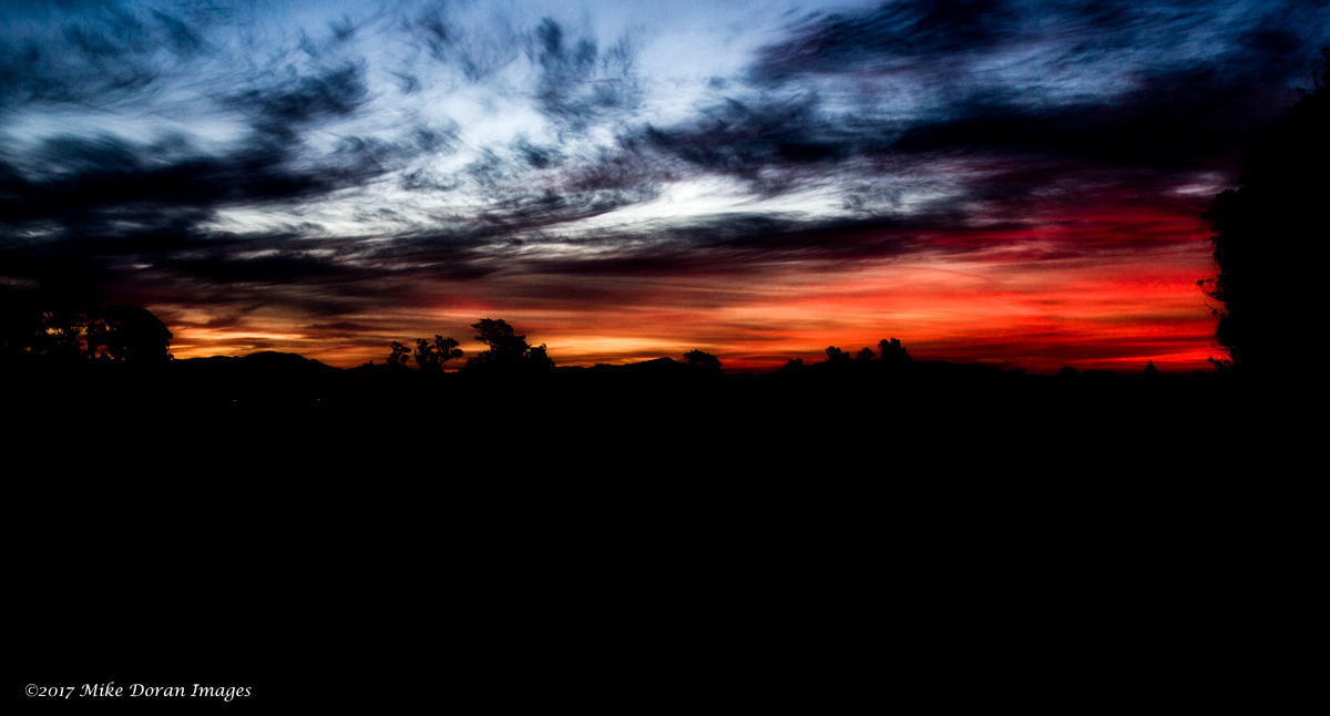 B8FCBCF2-72A9-4C2E-95D7-9D1860CF6647.jpeg