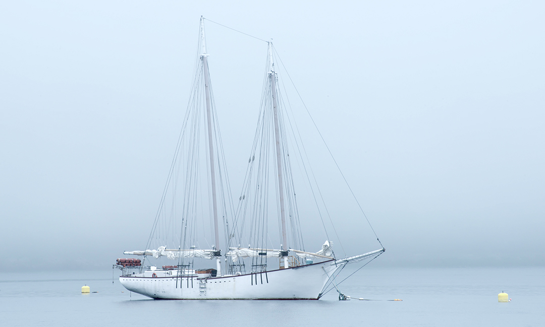 Bar Harbor fog.jpg