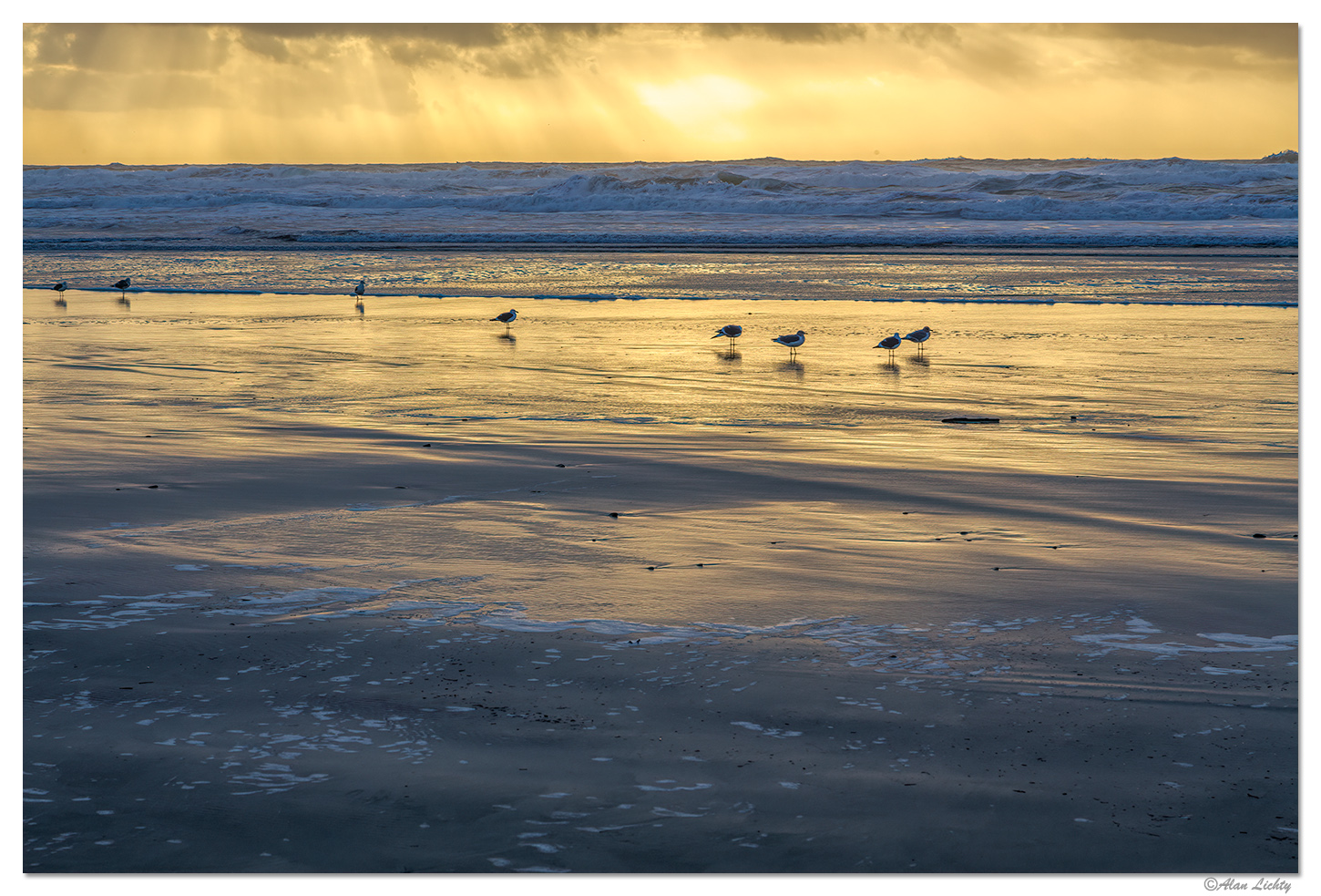 BBeachBirds.jpg