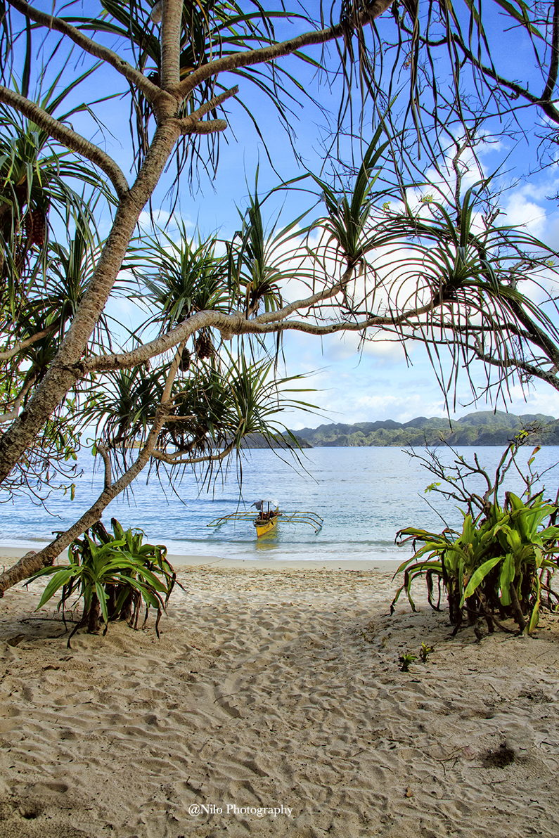 Beach copy.jpg