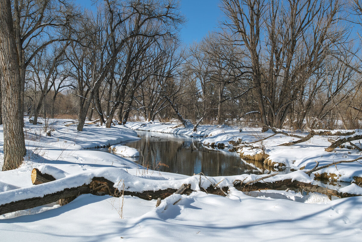bear Creek pond.jpg