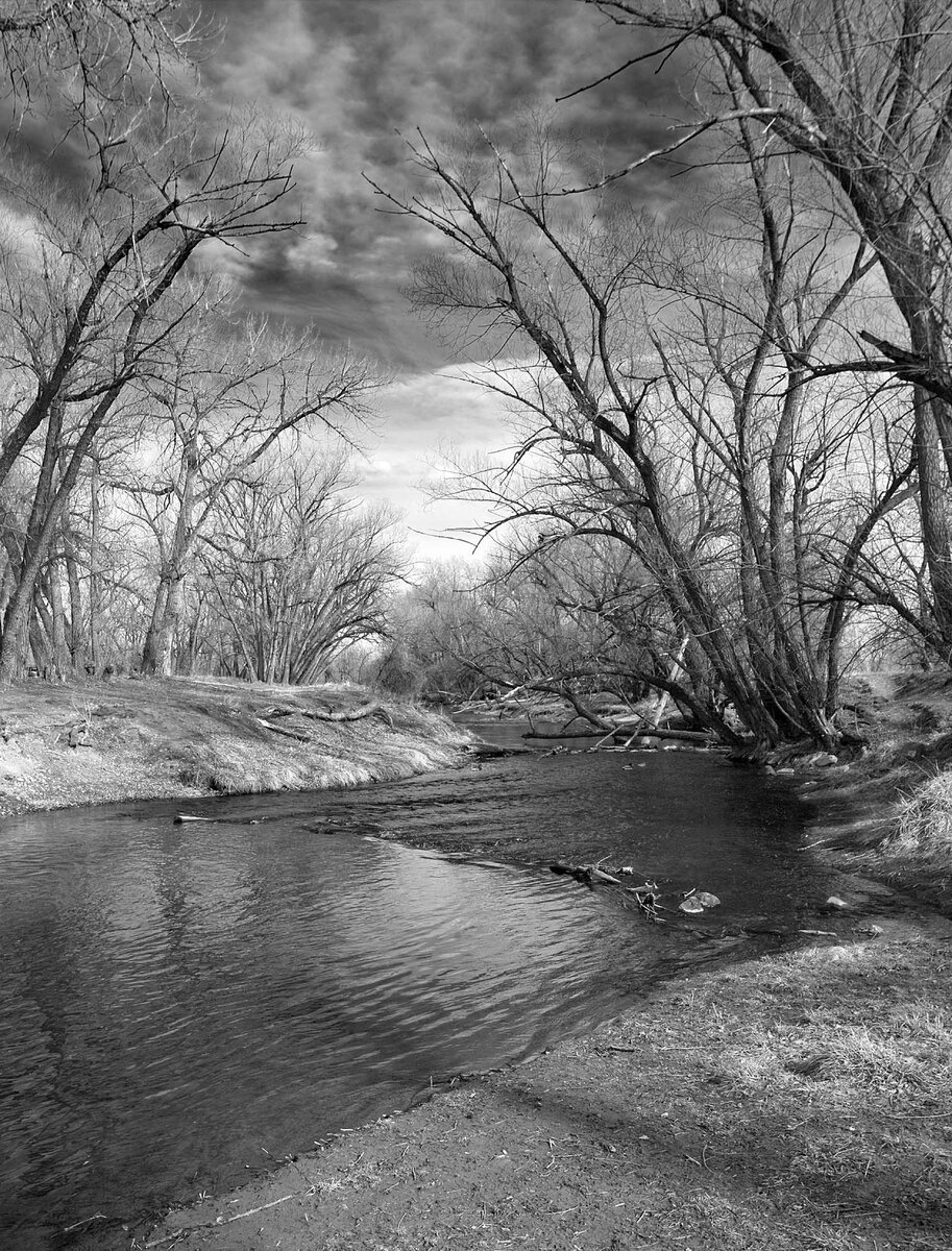 Bear Creek3.jpg