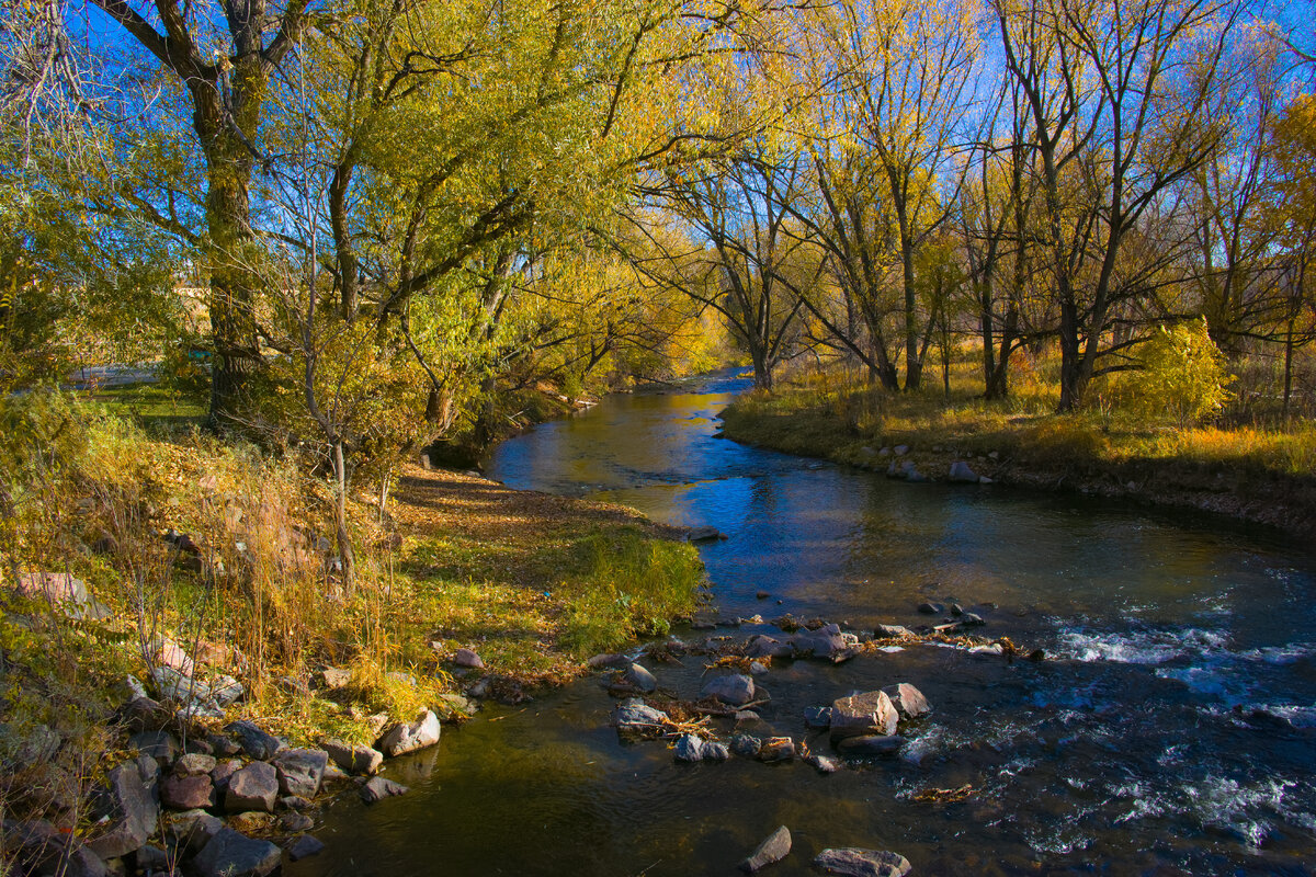 BearCreek.jpg