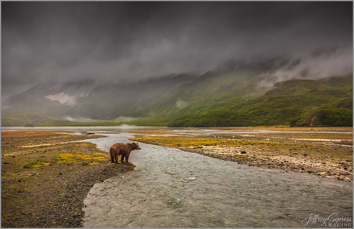 bearscape1a.jpg