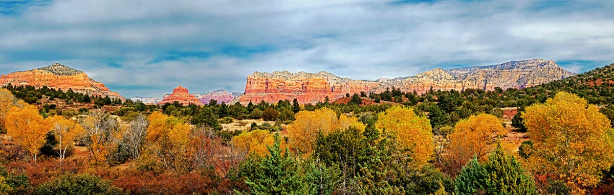 Bell Rock Vista.jpg