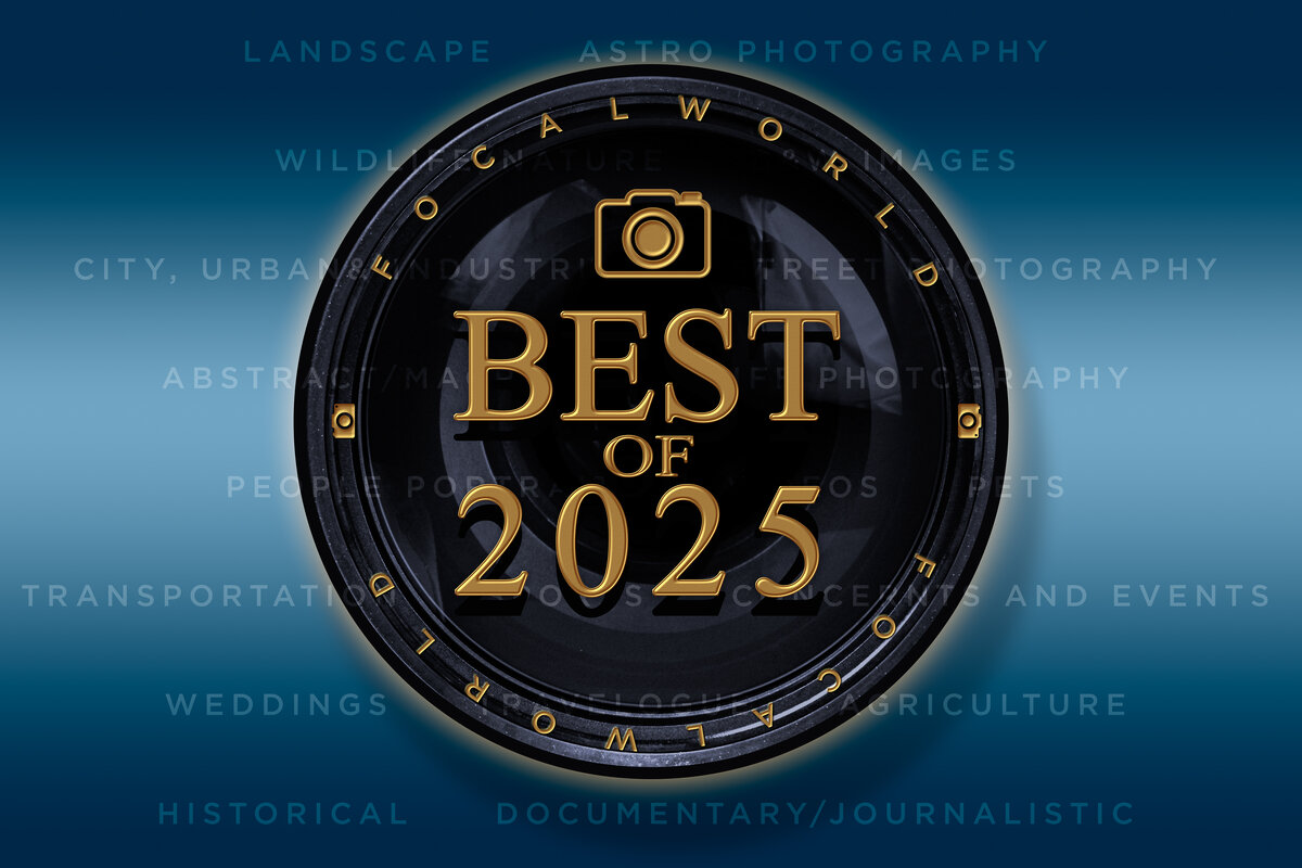 BEST OF 2025-2.jpg