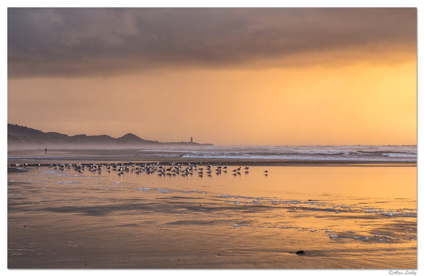 BeverlySunset11-2014-2.jpg