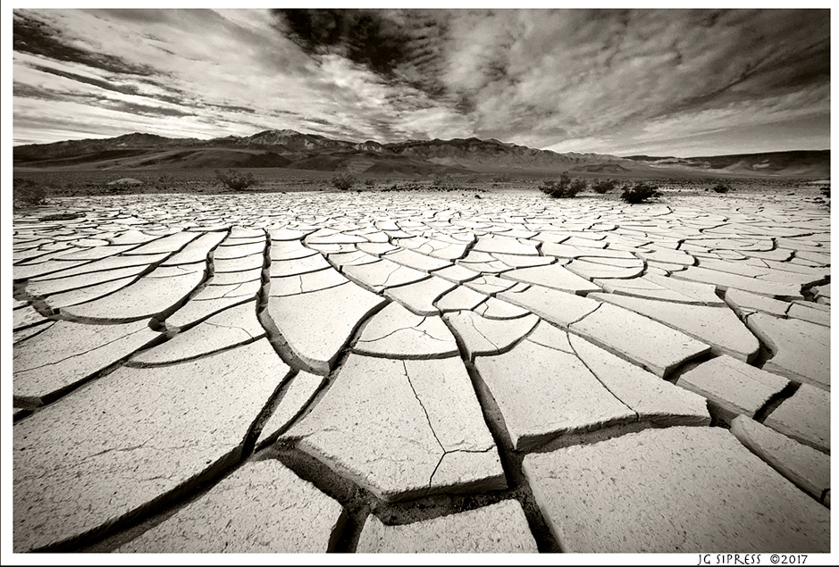 bigmudcracks2bw.jpg