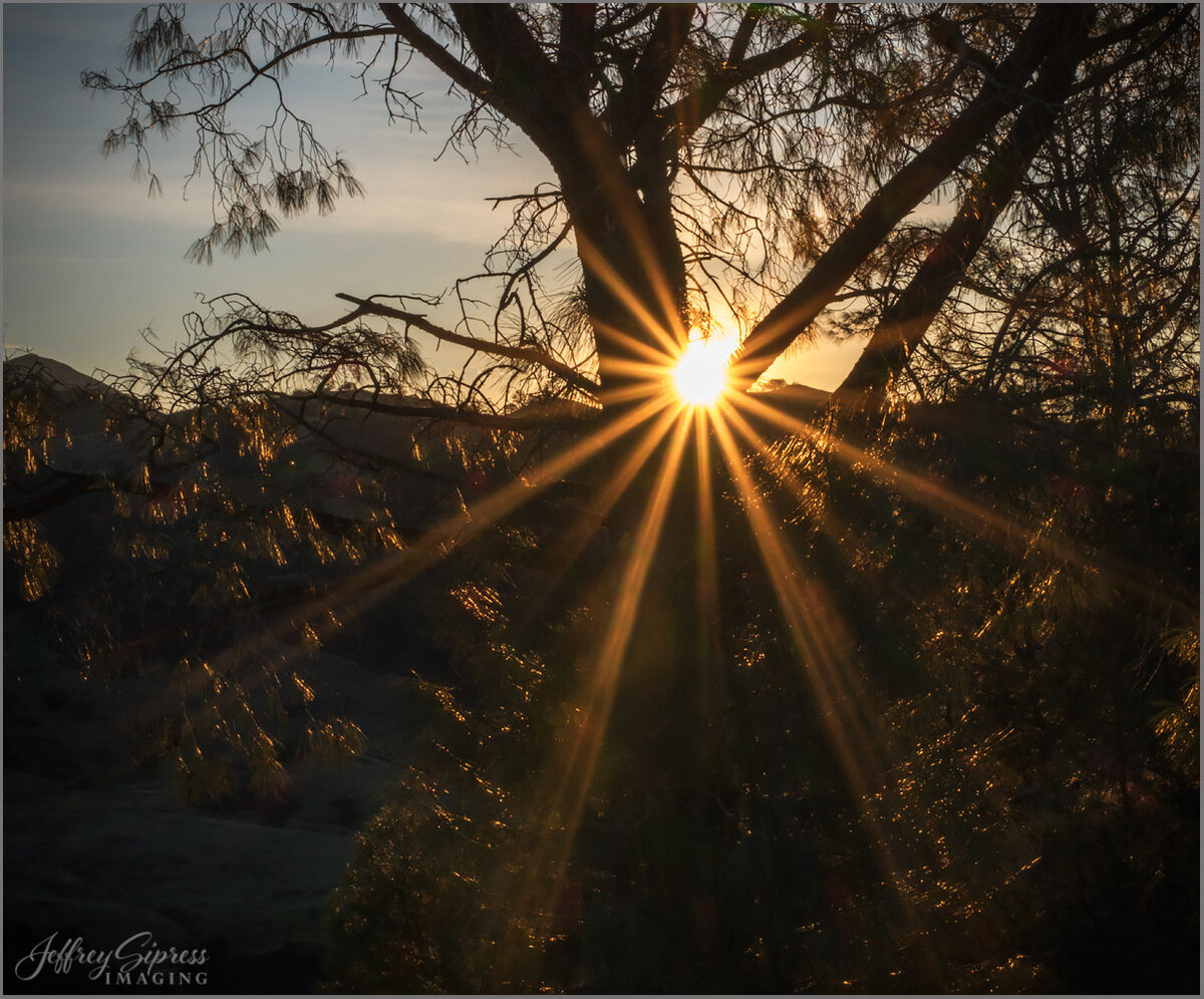 bigsunstar1.jpg