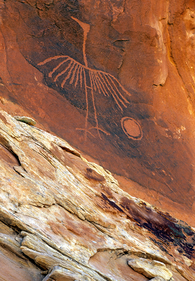 bird petroglyph final.jpg