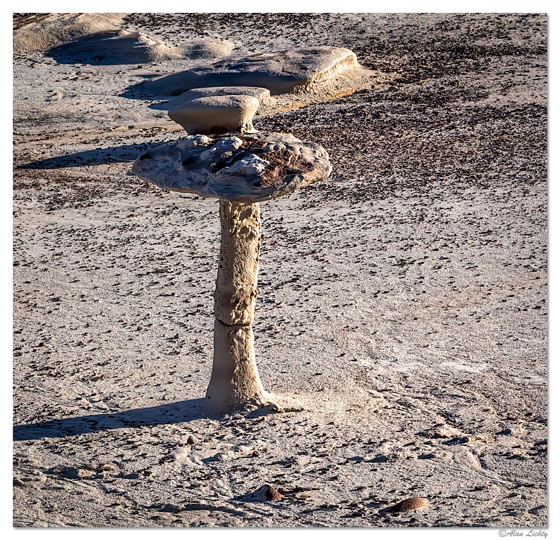 BistiToadstool.jpg