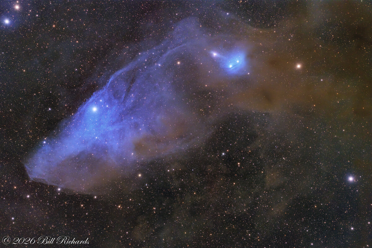 Blue Horsehead Nebula.jpg
