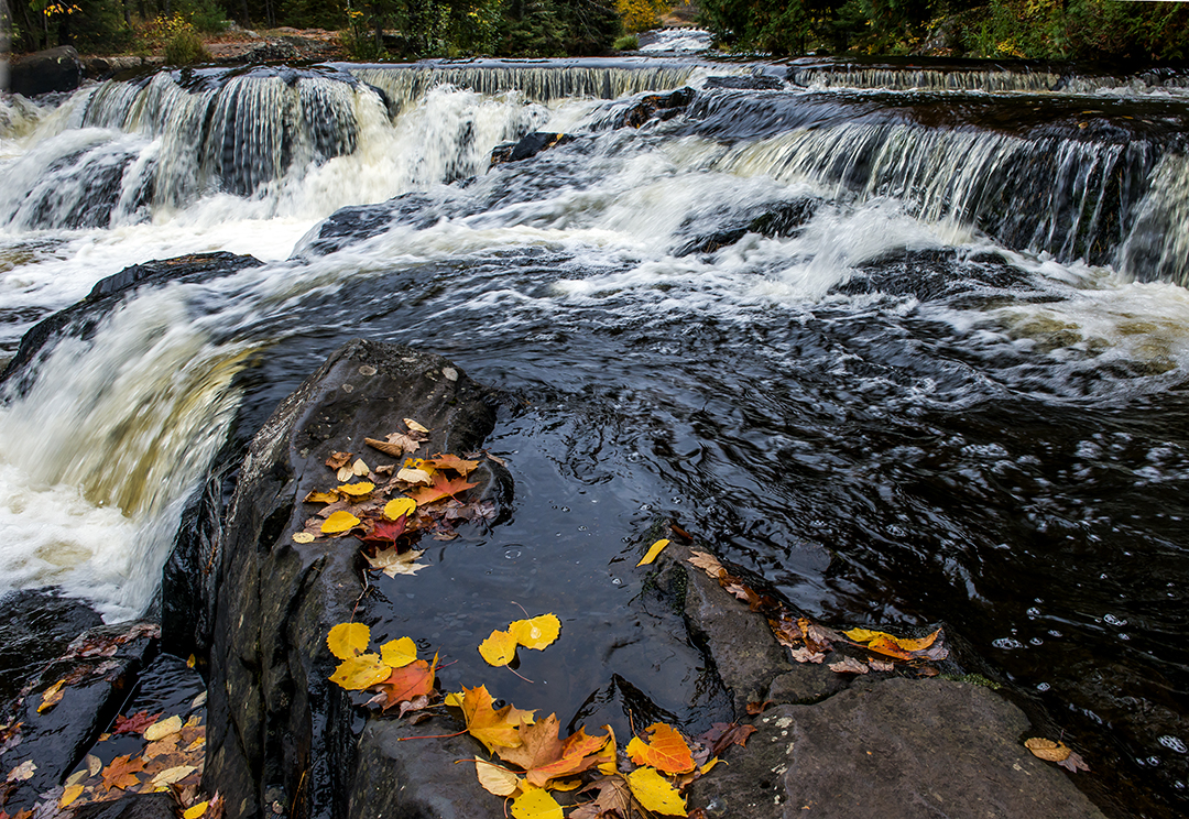Bond Falls I (1 of 1).jpg