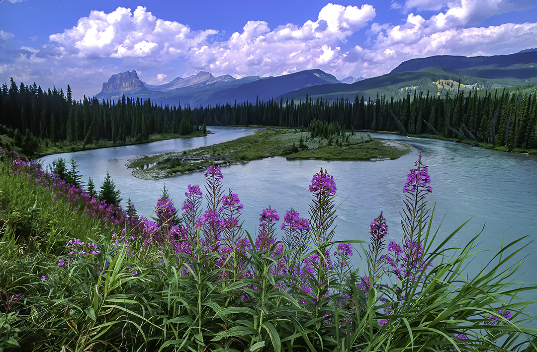 Bow river II.jpg
