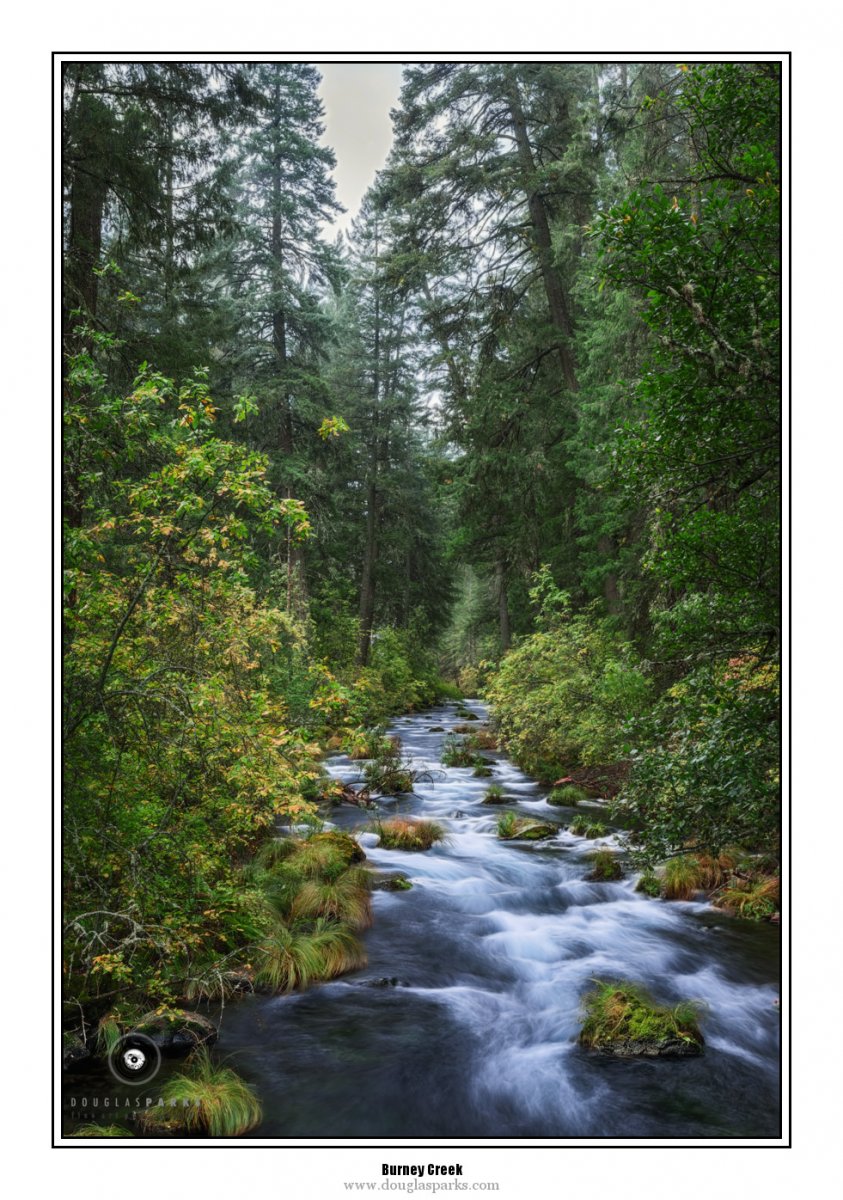 Burney Creek.jpg