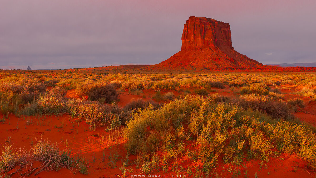 Butte.jpg