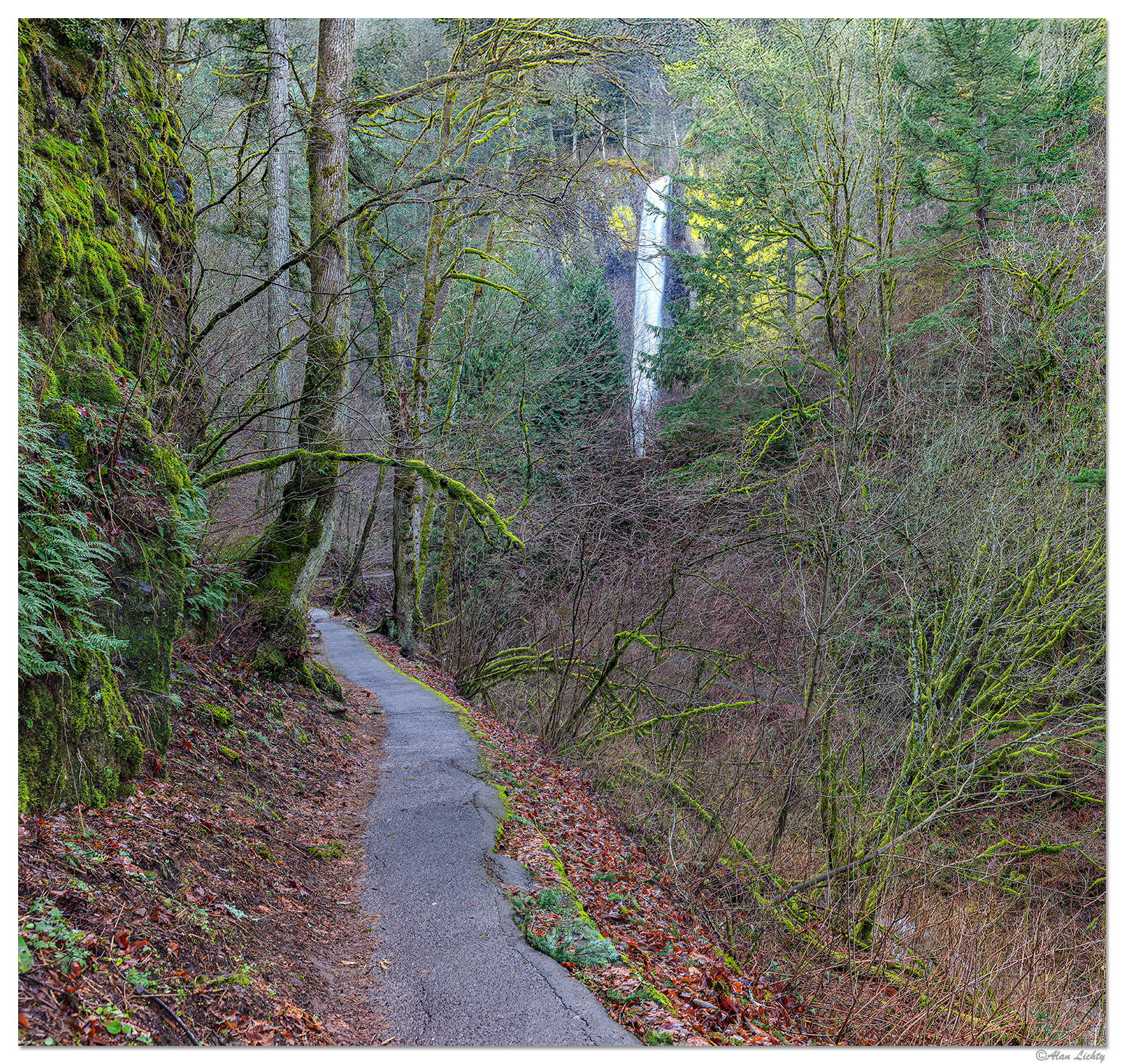 C5D2_LatourellTrail011810.jpg