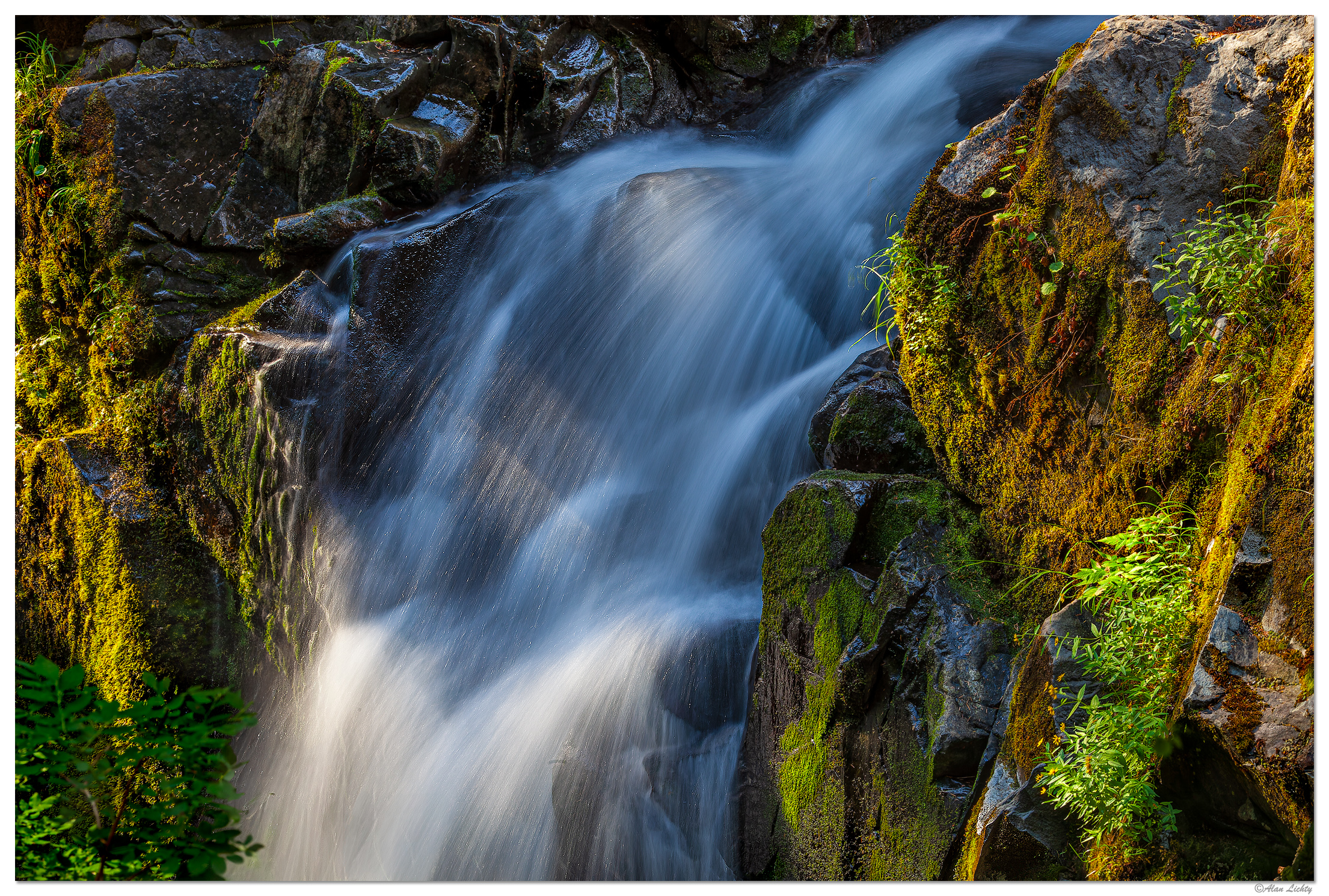 C5D2_SolDucScene081509.jpg
