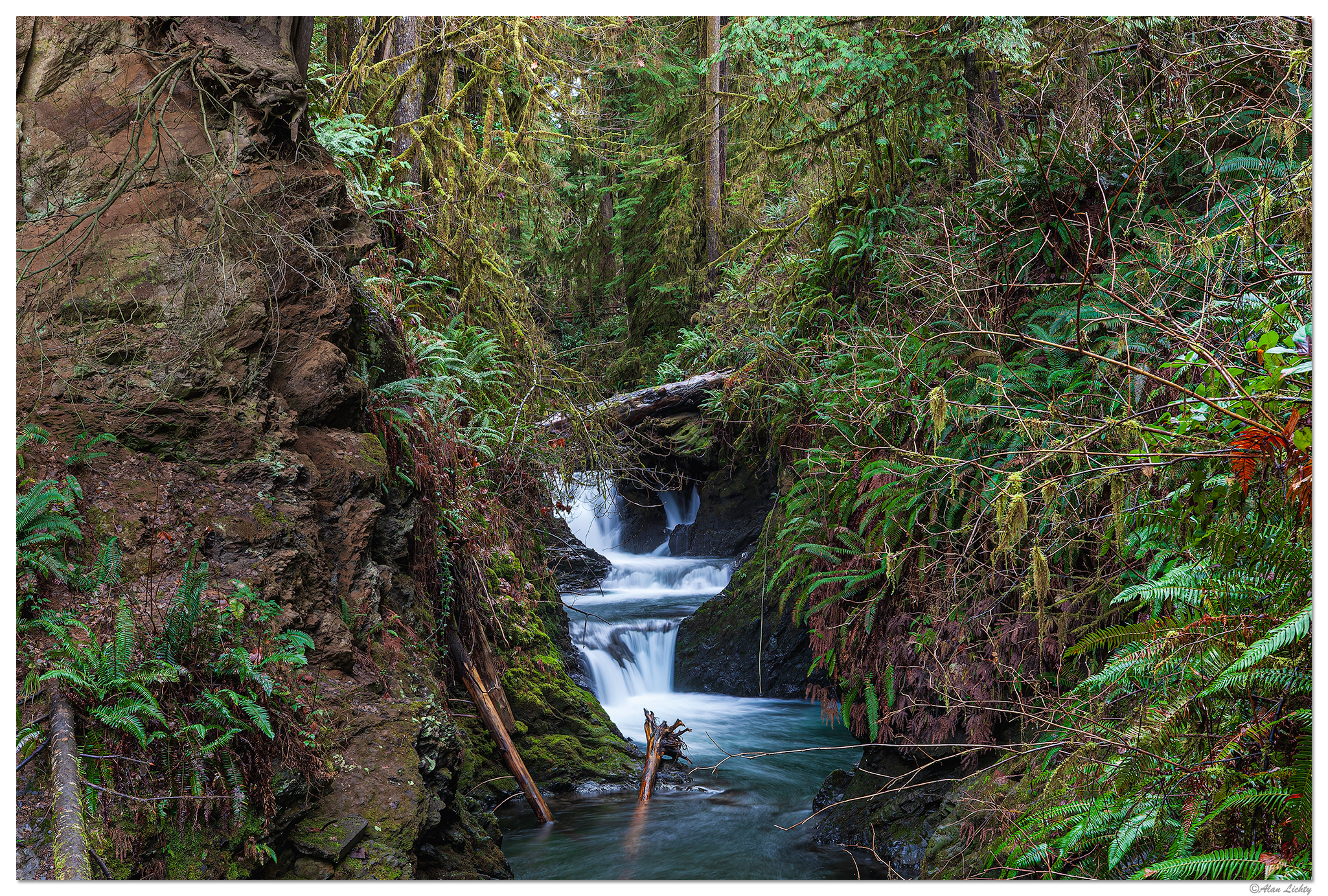 C5D2_WillabyFalls020710.jpg